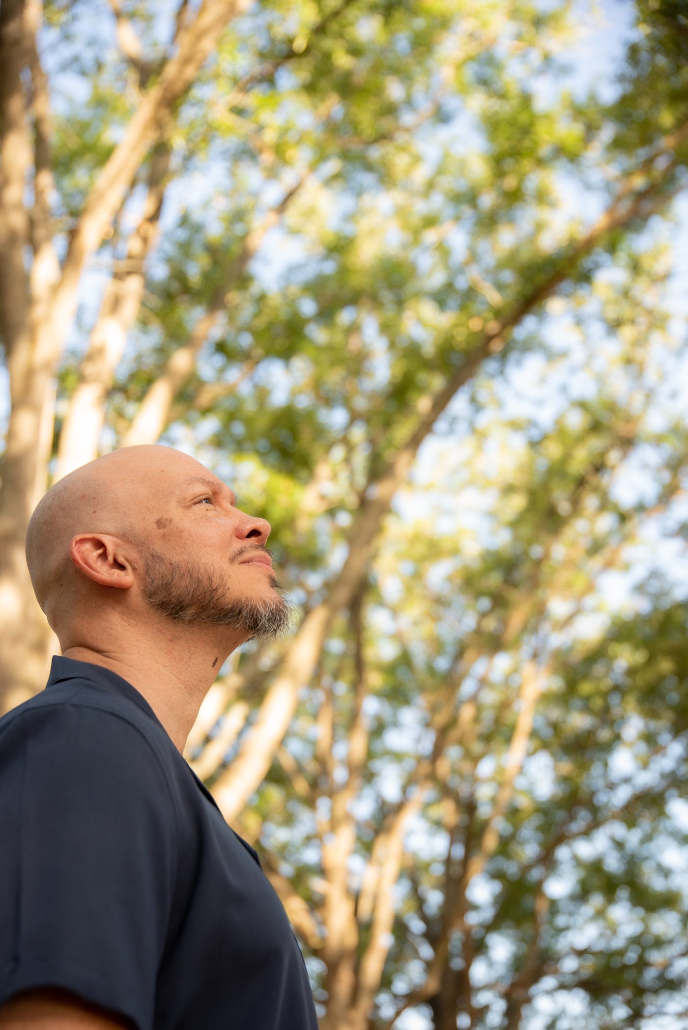 David Ferreira looking upward beneath a canopy of trees.